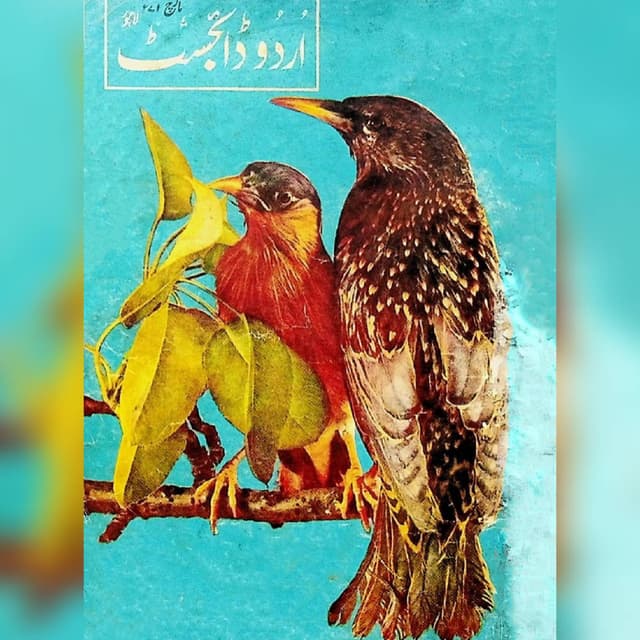 سالنامہ مارچ 1971